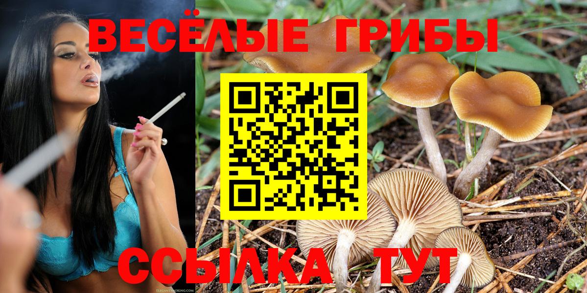 Псилоцибиновые грибы MAGIC MUSHROOMS Медногорск