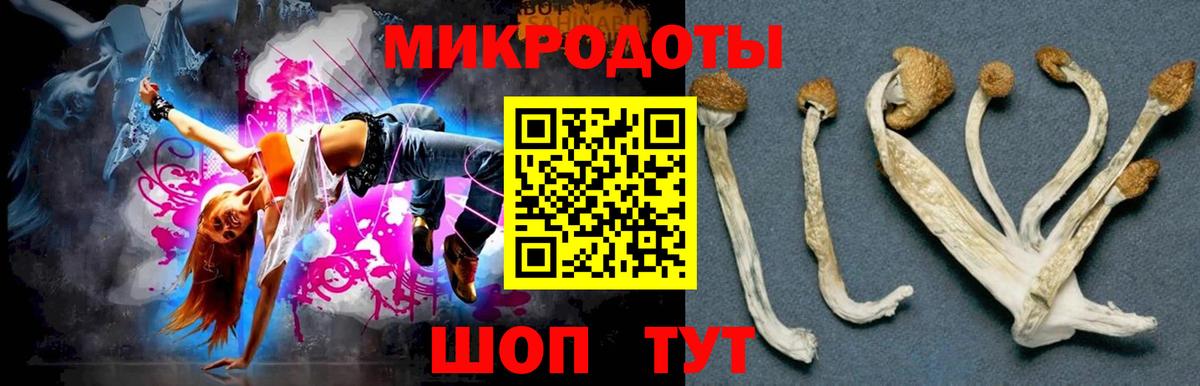 Галлюциногенные грибы Magic Shrooms  Псилоцибиновые грибы Psilocybine cubensis  Вход с VPN  Медногорск 