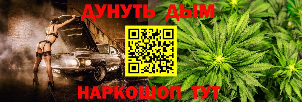 Бошки марихуана OG Kush Медногорск